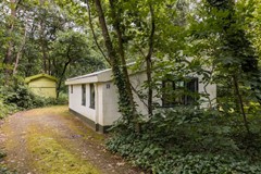 Wiltsangh 41B19, 8072 PK Nunspeet - Felua-tuin 6.jpg